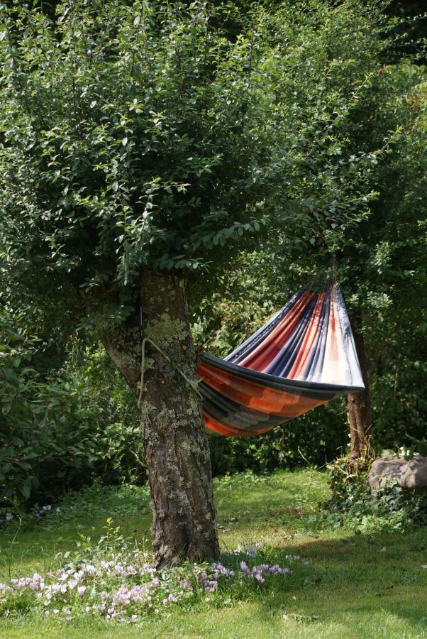 La Chaine Saint-Jean-du-Bois Extérieur photo